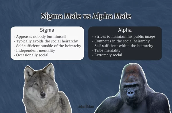 Sigma Male Personality Traits