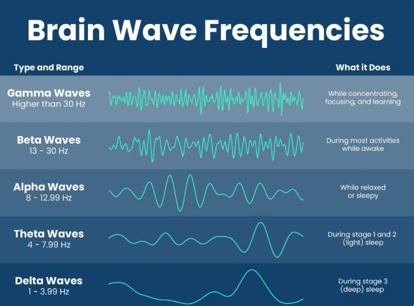 Brain Wave Frequencies Premature Ejaculation Control